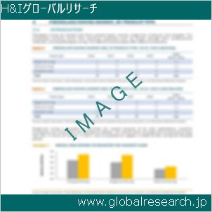 グローバルリサーチ調査レポートのイメージ